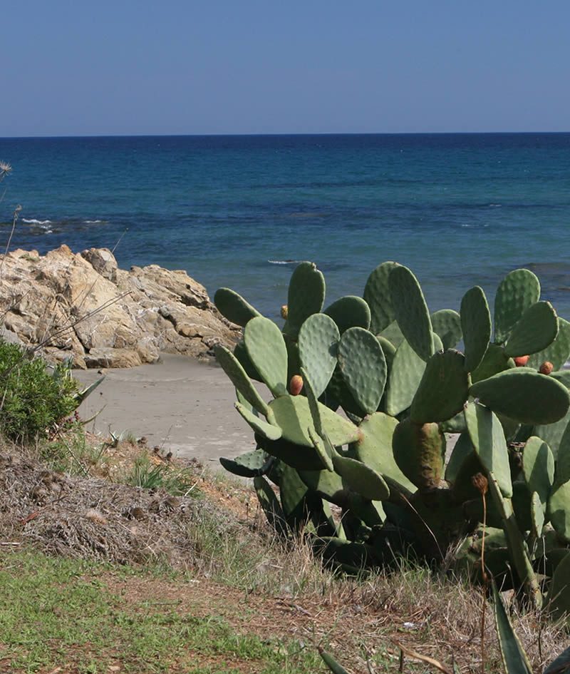 santelmo-holiday-residence-costarei-box-territorio-porto-corallo-3
